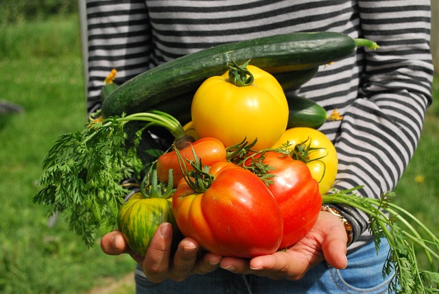 potager en cuisine